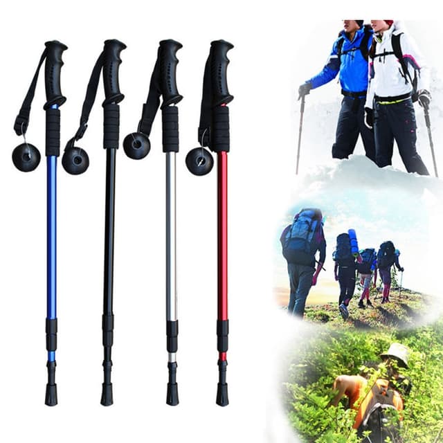 Hiking stick